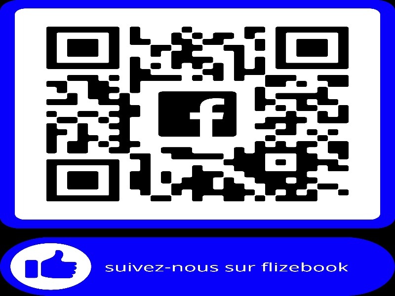 Flizebook
